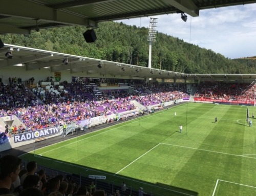 Spieltag 30: FC Erzgebirge Aue vs. 1. FC Nürnberg